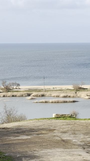 Азовское море