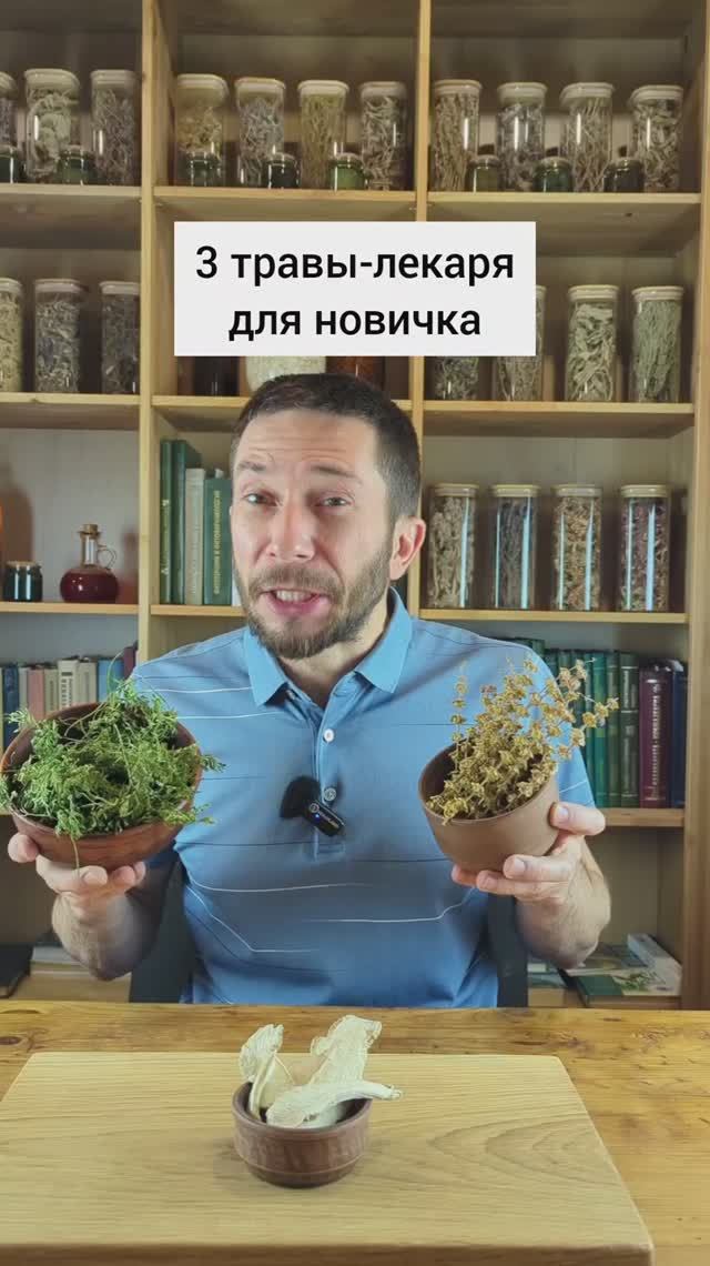 3 травы для новичков