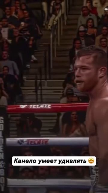 Канело показал класс 🙌