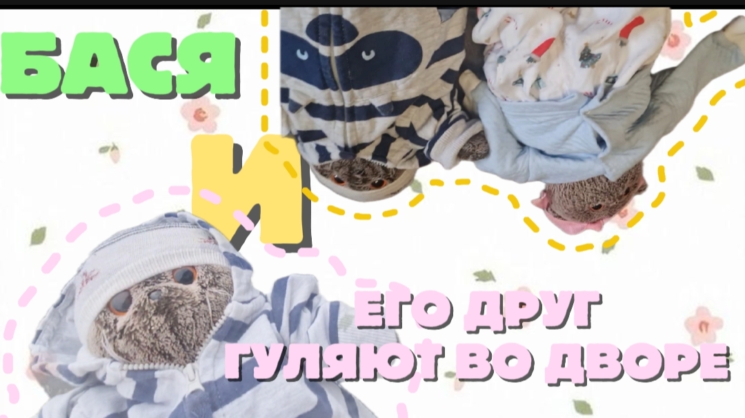 БАСИК И ЕГО ДРУГ ГУЛЯЮТ ПО ДВОРУ. Видео с котом Басиком