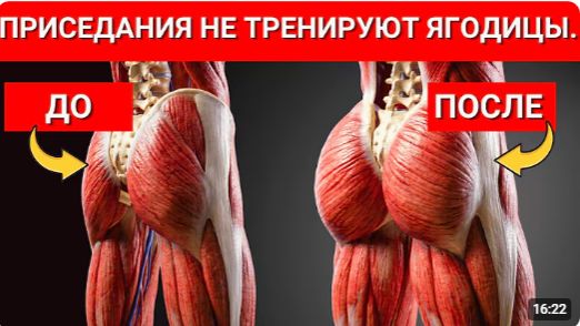 5 упражнений, которые активируют 90% ягодичных мышц после 50 лет (Без приседаний и тренажеров)