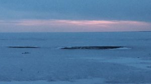 Обское море: доехал на лыжах до дальних пляжей. 2 фильма и современная политика. Heads of state 🤯