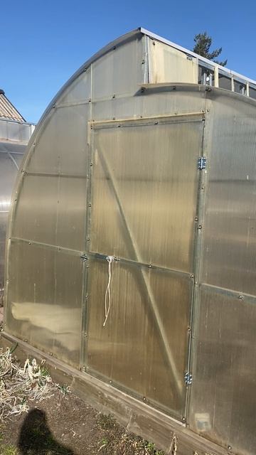 Теплица до замены поликарбоната