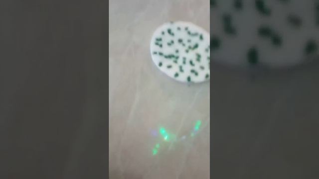 Опыт ном. (2...)