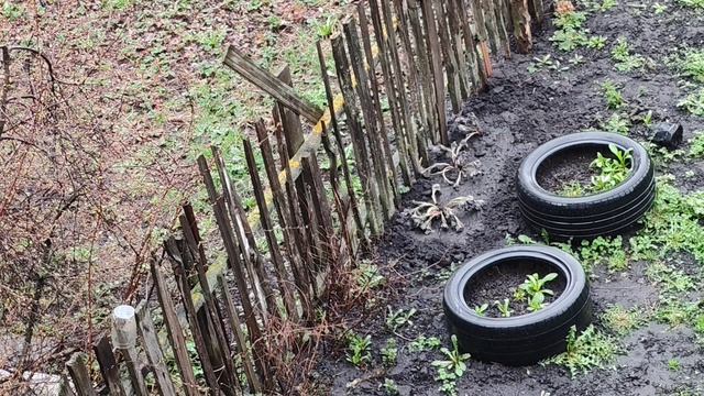 19-04-2026 дождь в деревне