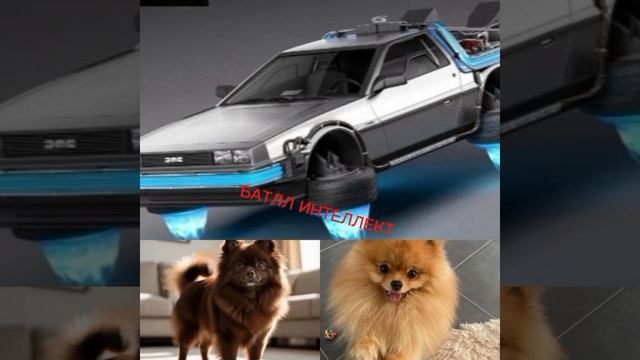 БИТВА ГИПЕР САВЫ 007, ЦЕРБЕРА И ДВУХ БАЛВАНОВ