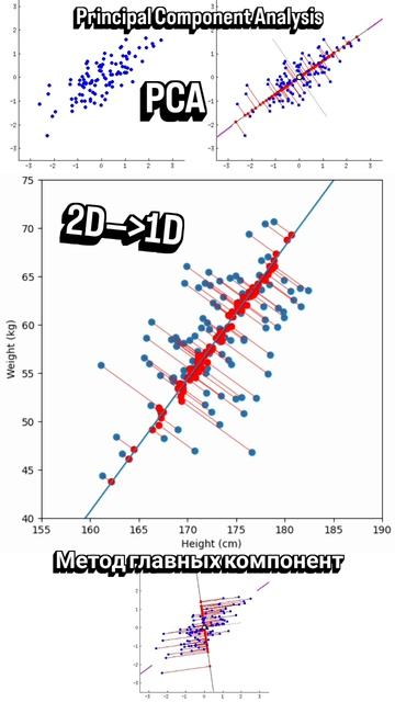 Что такое PCA? Метод главных компонент, Principal Component Analysis это #алгоритм #машинноеобучение
