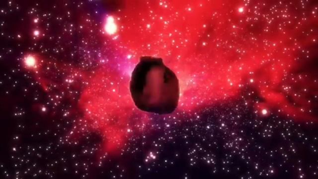 КОТИК «OIIA OIIA» Spring Cat (1080p, 60 Fps)