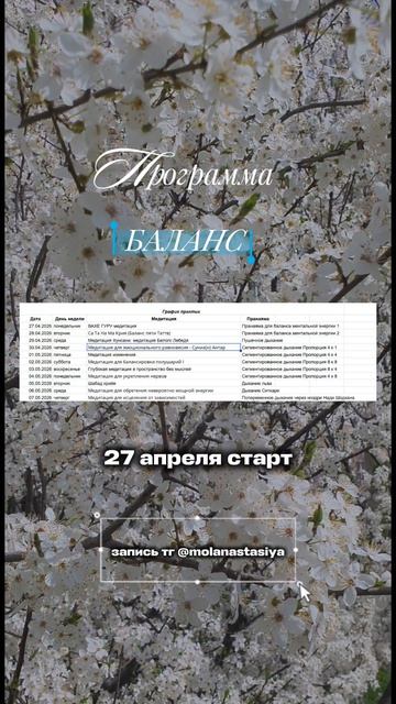 БАЛАНС. Медитативная программа
