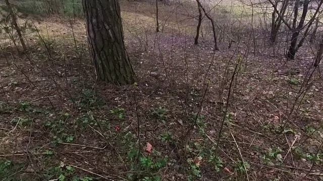 Весна. Сормовский парк.