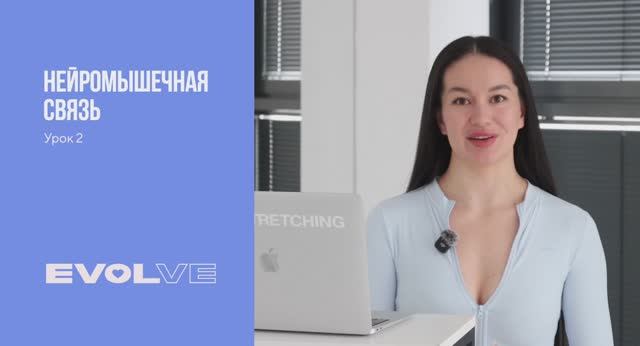 Нейромышечная связь