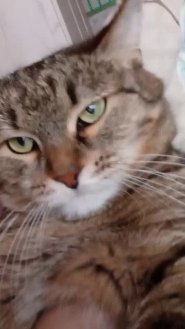 Обладаю вас спасибо за 72 подписчика отмечаю 72 подписчика!🥳🥳🥳🥳🥳🥳🥳😍🥰🤩🥰🥰😍🤩😍🥳😍🤩🥳😍