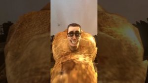 i'm human being (1-16)