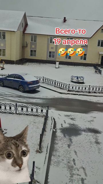 Снег в апреле, это норма 🤗