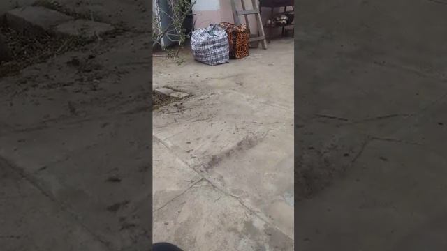 Стрим на улице