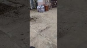 Стрим на улице