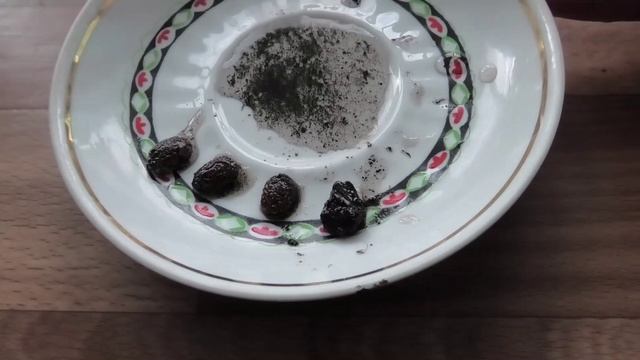 Семена момордики через полтора месяца после посева