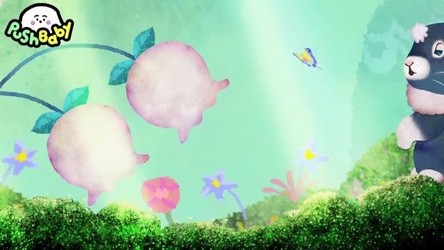 PushBaby Best Treasure Box vol.30 10min Compilation  PushBaby Official