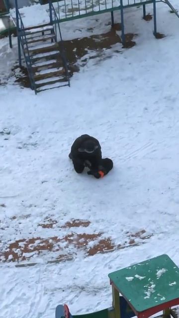 История одной варежки ☺))