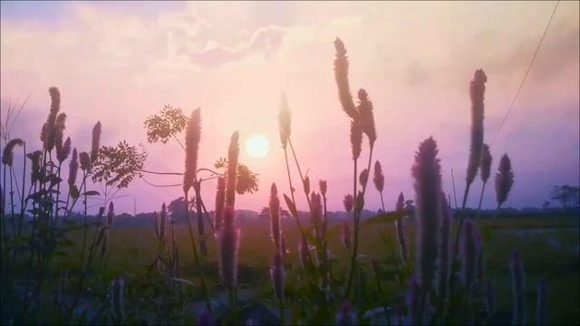 Загадка понедельника. Нарисуйте знак и впустите счастье.