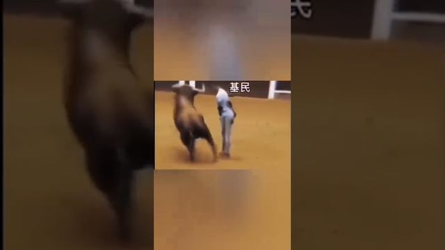 Приколы😁😁😁