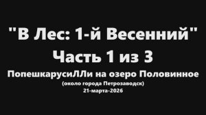 21-марта-2026 - В Лес: 1-й Весенний; Часть 1/3: ПопешкарусиЛЛи на озеро Половинное