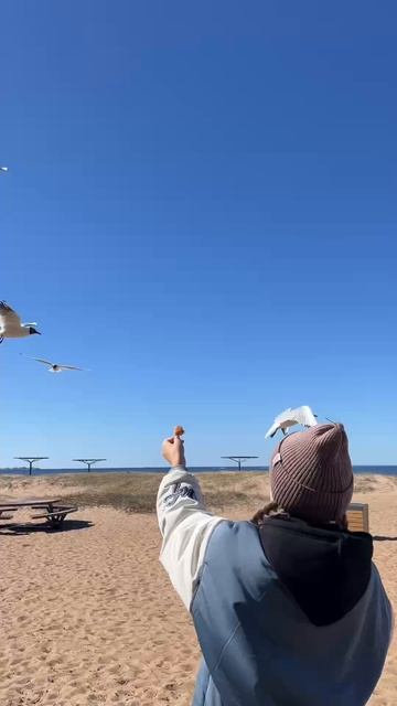 Тёплые деньки пошли