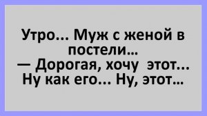 Анекдоты | Утро, муж с женой в постели. Дорогая, хочу... | Анекдоты смешные | Юмор