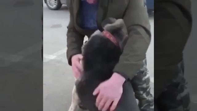 Видео от Департамент Вирусного Контента | ДВК