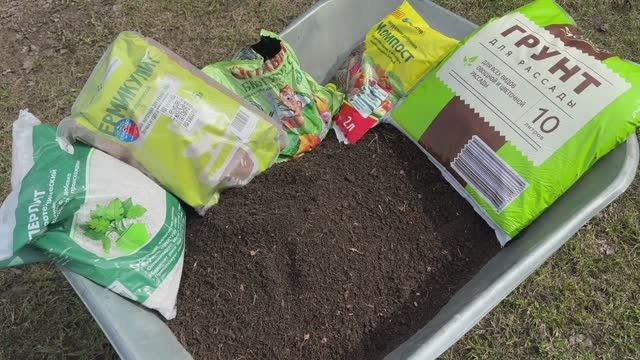 18.04.26 влог: перевезла часть рассады, посеяла кукурузу, астры. Рассада в доме.