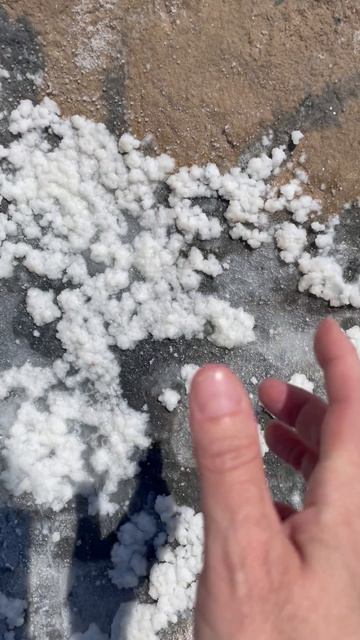 Соленое озеро заповедник Рас-Мохаммед