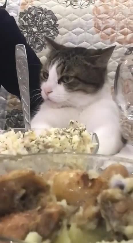 Главный гость на этом пpазднике