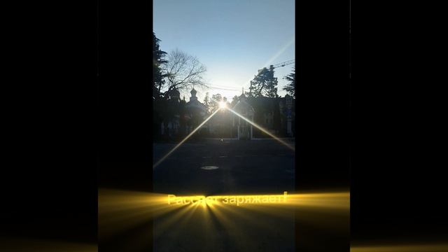 Я смогла и вы сможете. Подъём 5:00.