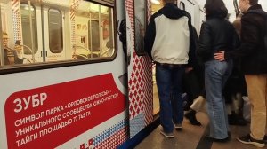 Поезд "Орловская область"