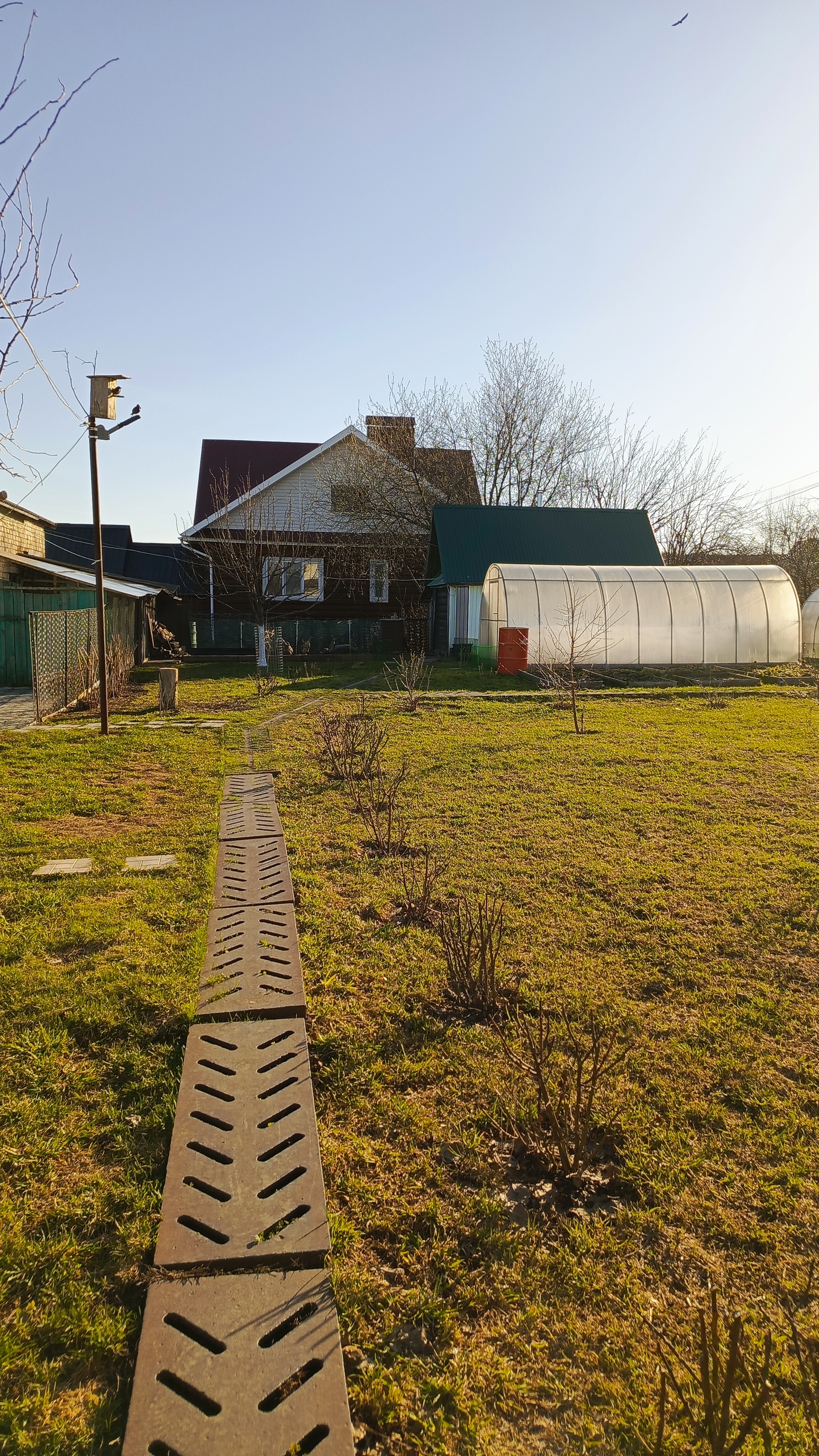 Видео за выходные 🏡Покрасила забор🧱Серёга балбес🤣Билефельдер🥚Пересадили кусты🪴Обход сада🌳