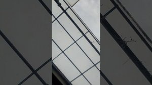 играем в рб