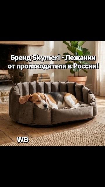 Skymeri