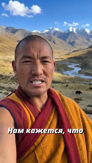 Ты злишься не на людей. А зря #психология #монах #саморазвитие #мудрость #когере