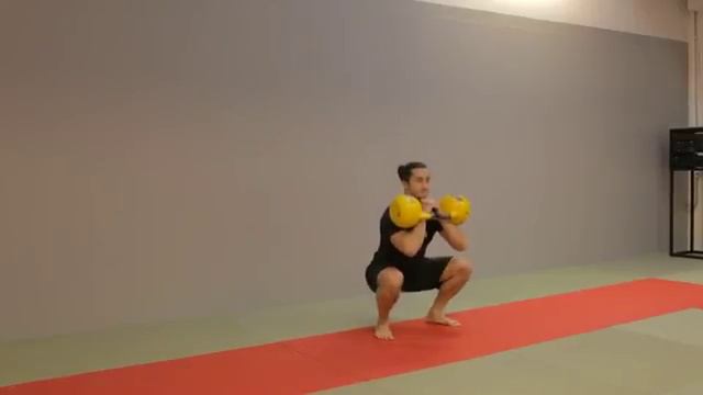 Гоблет приседания с двумя гирями на груди /  Dual Kettlebell Goblet Squat
