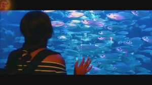 Я ТЕБЯ УКРАДУ