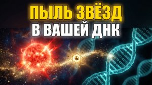 13 миллиардов лет за одну жизнь: путешествие атома углерода!
