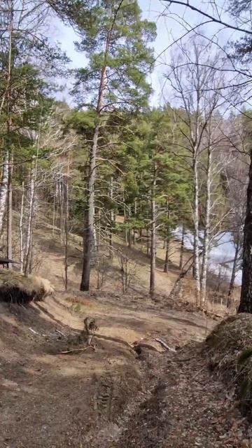 Волшебная природа Алтая #Белокуриха #прогулка #Алтай