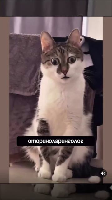 Врачи в конце рабочего дня