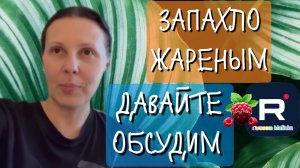 Big Big Family in the USA _Запахло жареным _Давайте обсудим _Обзор _Биг Биг Фэмэли _Жизнь в США