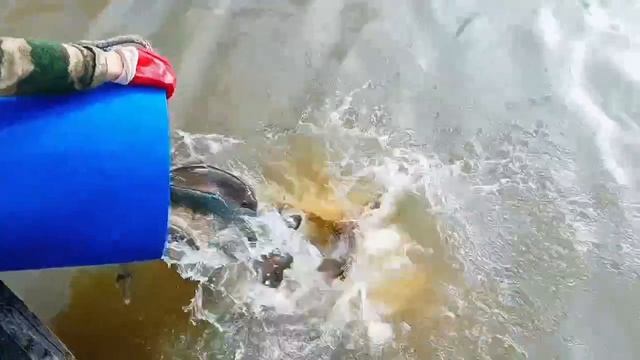 запуск 19.04.26