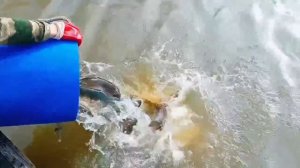 запуск 19.04.26