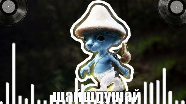 Песня ШАЙЛЮШАЙ