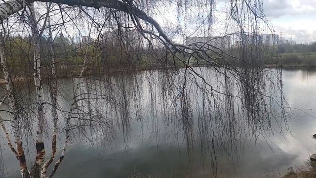 ЛАНДШАФТНЫЙ ПАРК 