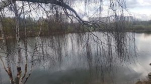 ЛАНДШАФТНЫЙ ПАРК "МИТИНО" 19-04-2026