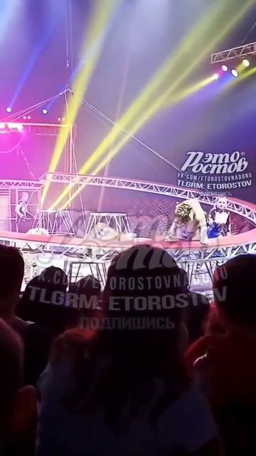 Тигр прыгнул в толпу зрителей в цирке

В цирке на Нагибина тигры испугались опускающейся защитной се